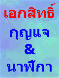 เอกสิทธิ์ กุญแจ